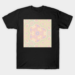 Kaleidoscope Of Soft Seasonal Colors T-Shirt